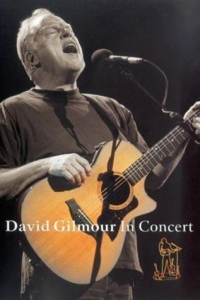 David Gilmour - In Concert