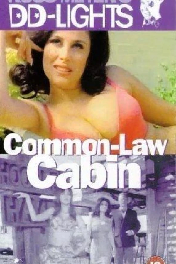 Common Law Cabin Cartaz