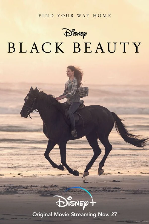 Black Beauty Cartaz