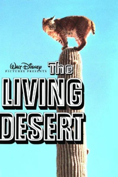 O Drama do Deserto
